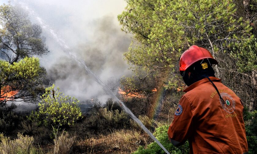 Φωτιά στο Ρέθυμνο: 112 στους πολίτες - «Αποφύγετε την περιοχή Άγιος Βασίλειος»