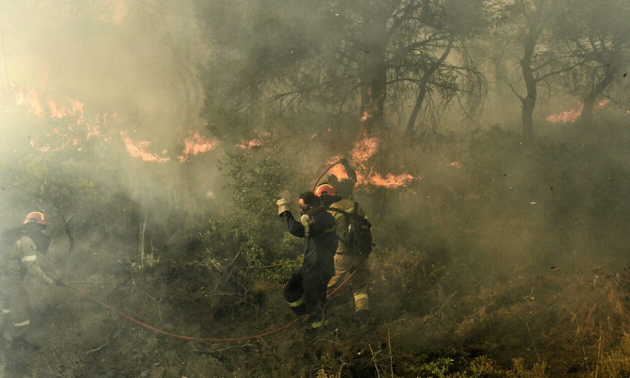 Φωτιά: 49 δασικές πυρκαγιές το τελευταίο 24ωρο - Τριπλό μέτωπο στην Κρήτη και 112 στο Ρέθυμνο