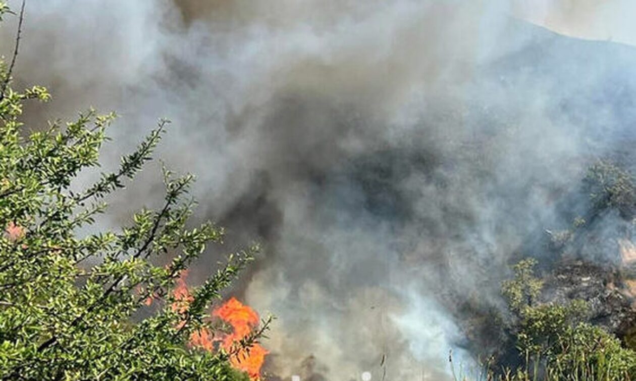 Φωτιά τώρα στην Ηλεία: Πυρκαγιά σε αγροτοδασική περιοχή