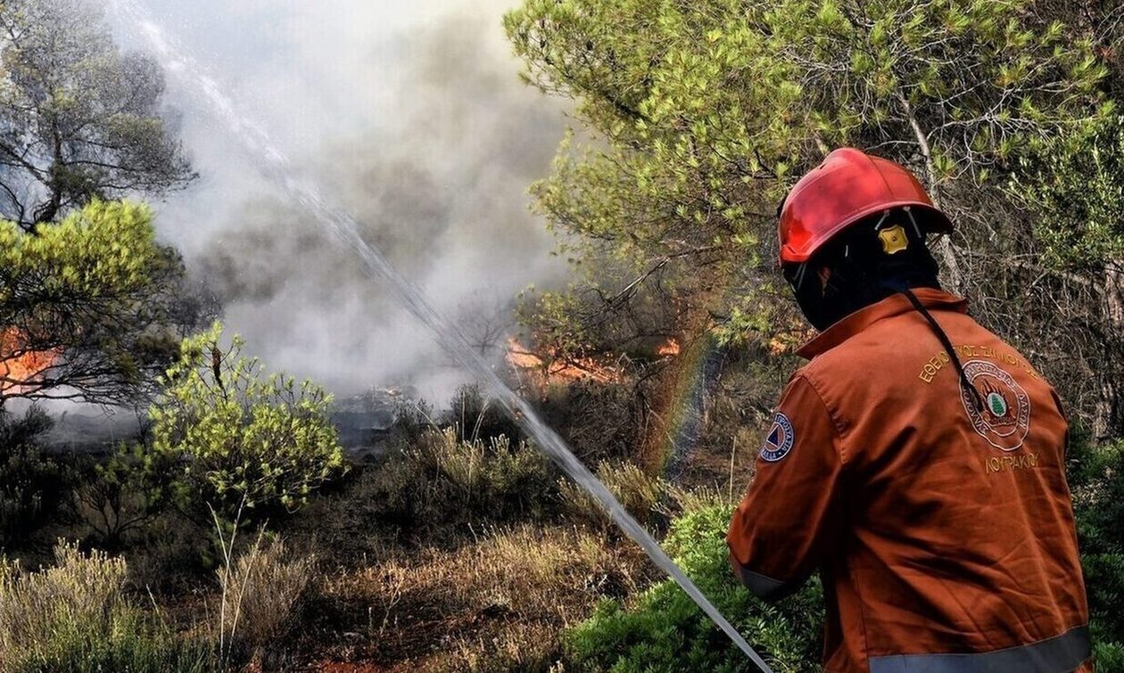 Εύβοια: Έσβησε η φωτιά στη Δροσιά
