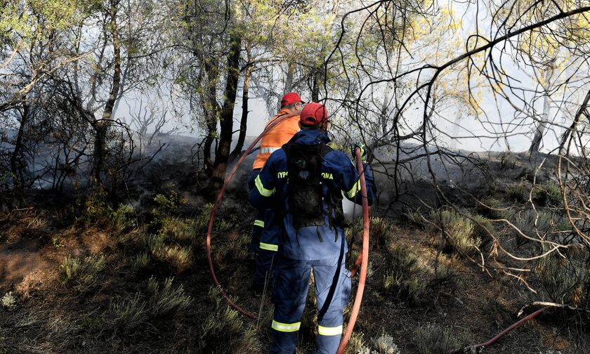 Κικίλιας: Σε ετοιμότητα η κρατική μηχανή για τις πυρκαγιές - Η παράκληση προς τους πολίτες