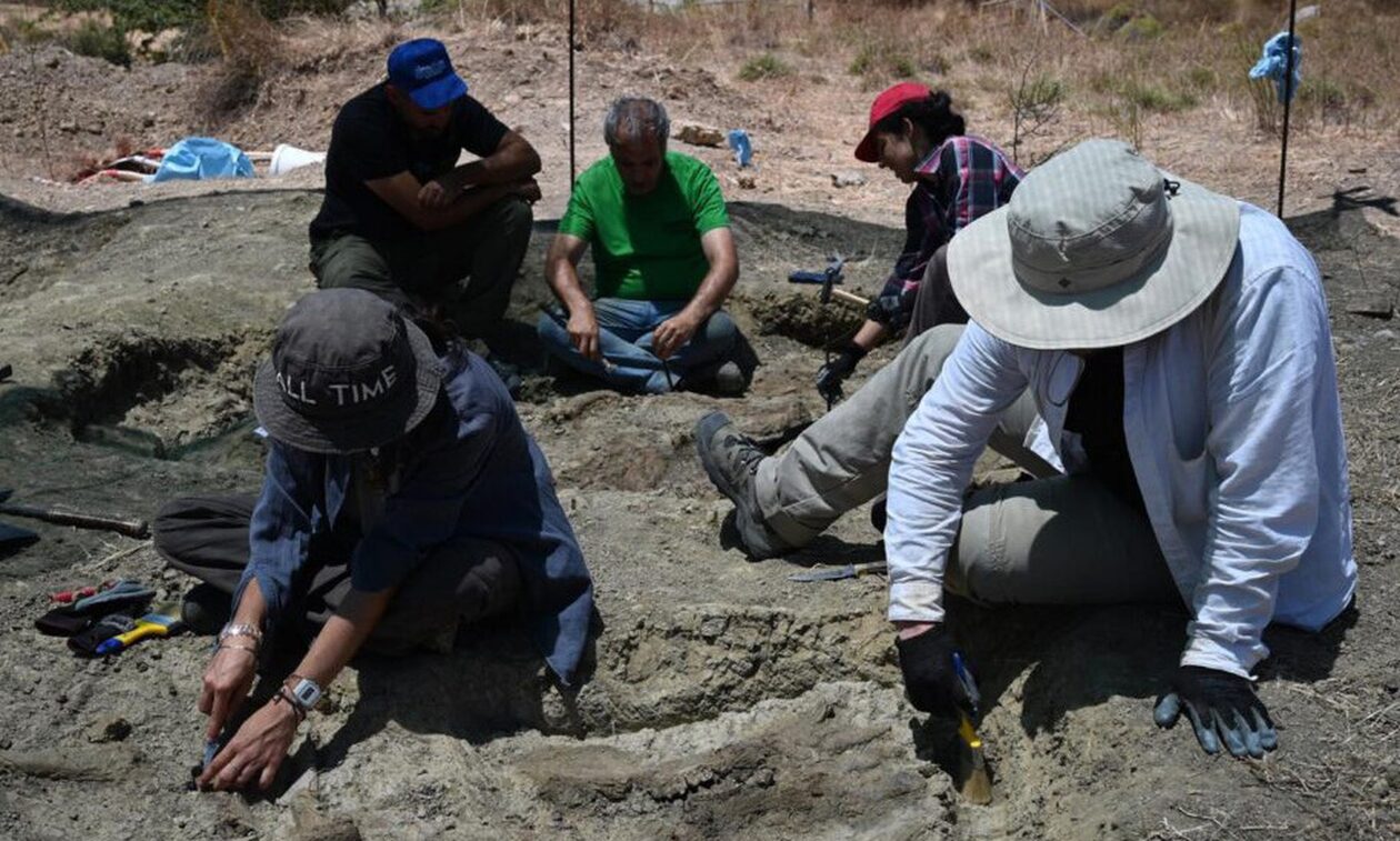 Εντυπωσιακή ανακάλυψη στο Λασίθι – Βρήκαν προϊστορικά οστά νάνου ιπποπόταμου