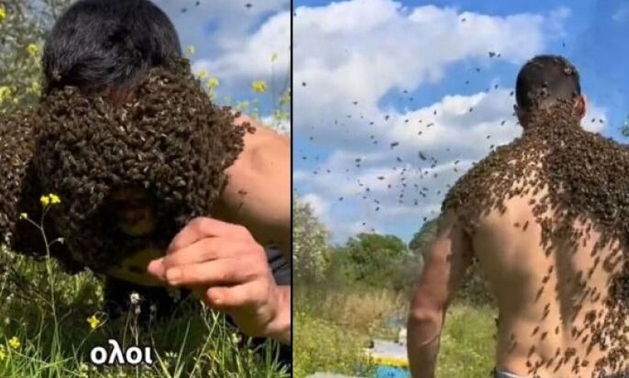 Viral ο μελισσοκόμος από το Αγρίνιο με τις χιλιάδες μέλισσες στο κορμί και το πρόσωπό του