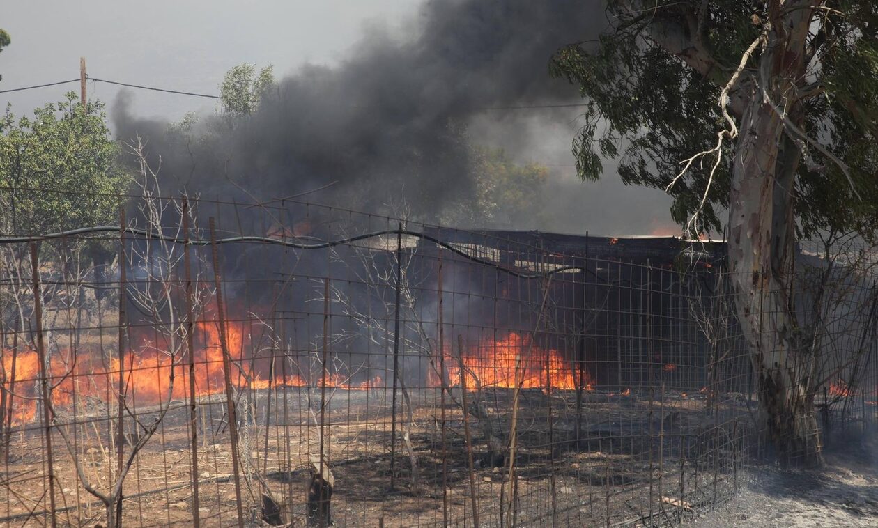 Φωτιά στον Κουβαρά - Αρτοποιός: Ριπές ανέμων 8 μποφόρ και στροβιλισμοί δυσχαιρένουν τα εναέρια μέσα