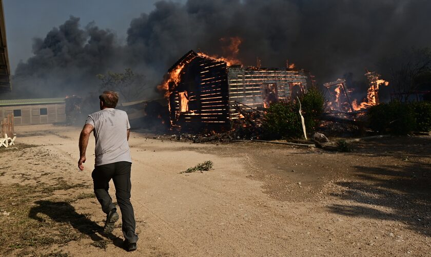 Φωτιά στην Αττική: Στη «μάχη» και ο Ερυθρός Σταυρός - «Είναι τρομοκρατημένος ο κόσμος»