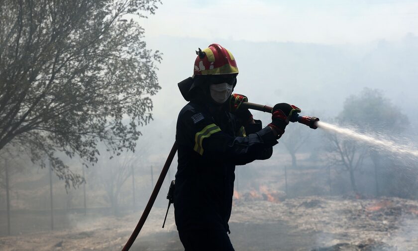 Κέρκυρα: Φωτιά στο χωριό Λούτσες