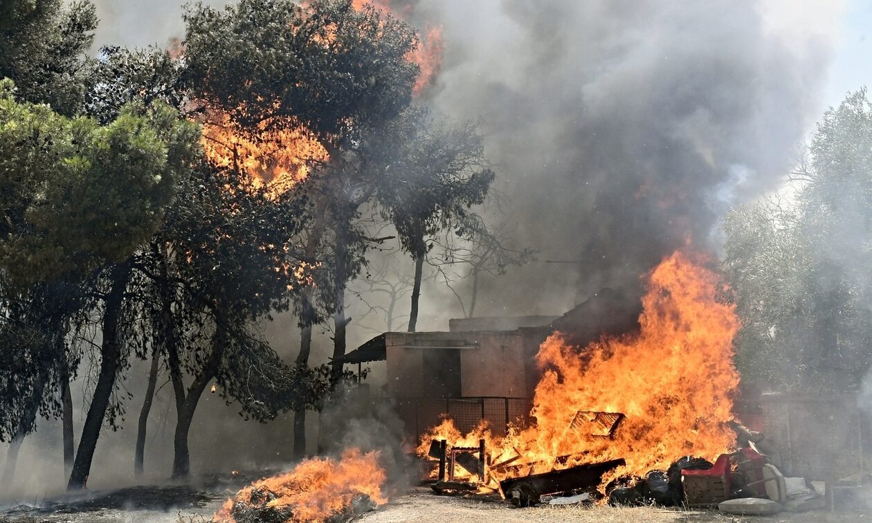 Αντιδήμαρχος Λουτρακίου για φωτιά: «Το μέτωπο είναι ενεργό, έχουν καεί κατοικίες»
