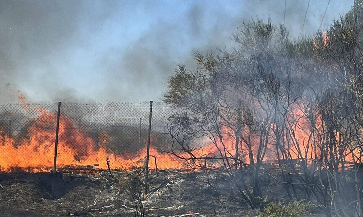 Πρόεδρος της ΚΕΔΕ: Φταίνε οι δήμοι για τις φωτιές