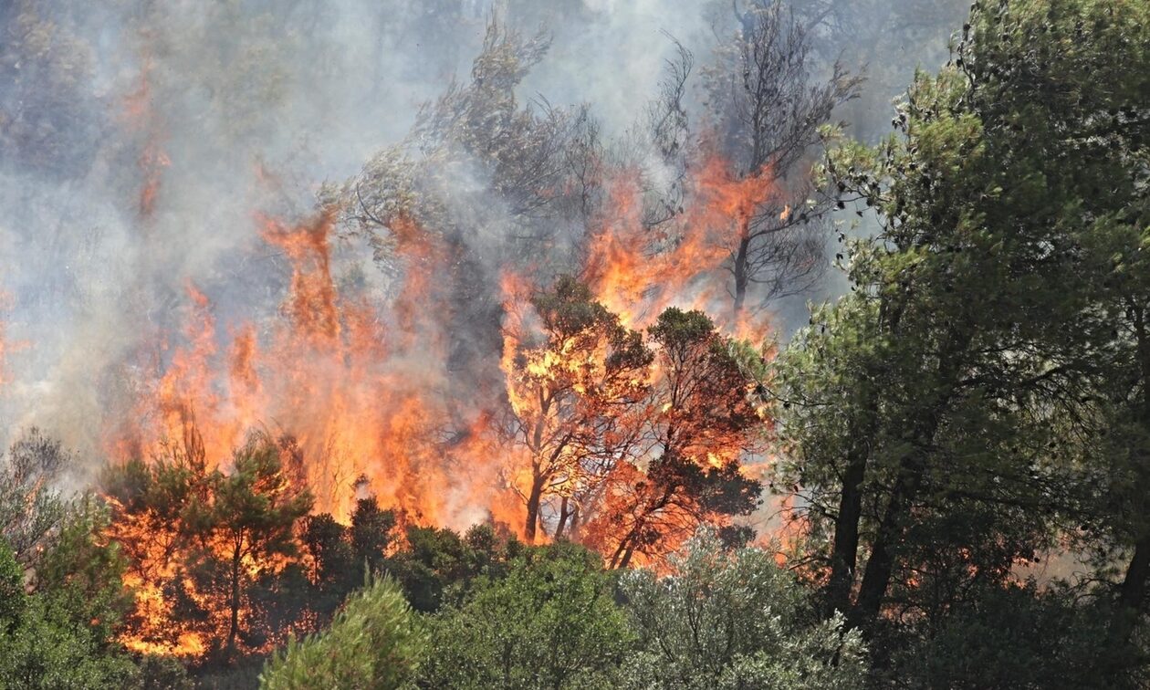 Φωτιά στη Μάνδρα: Οι φωτιές «κυκλώνουν» τον οικισμό της Νέας Ζωής