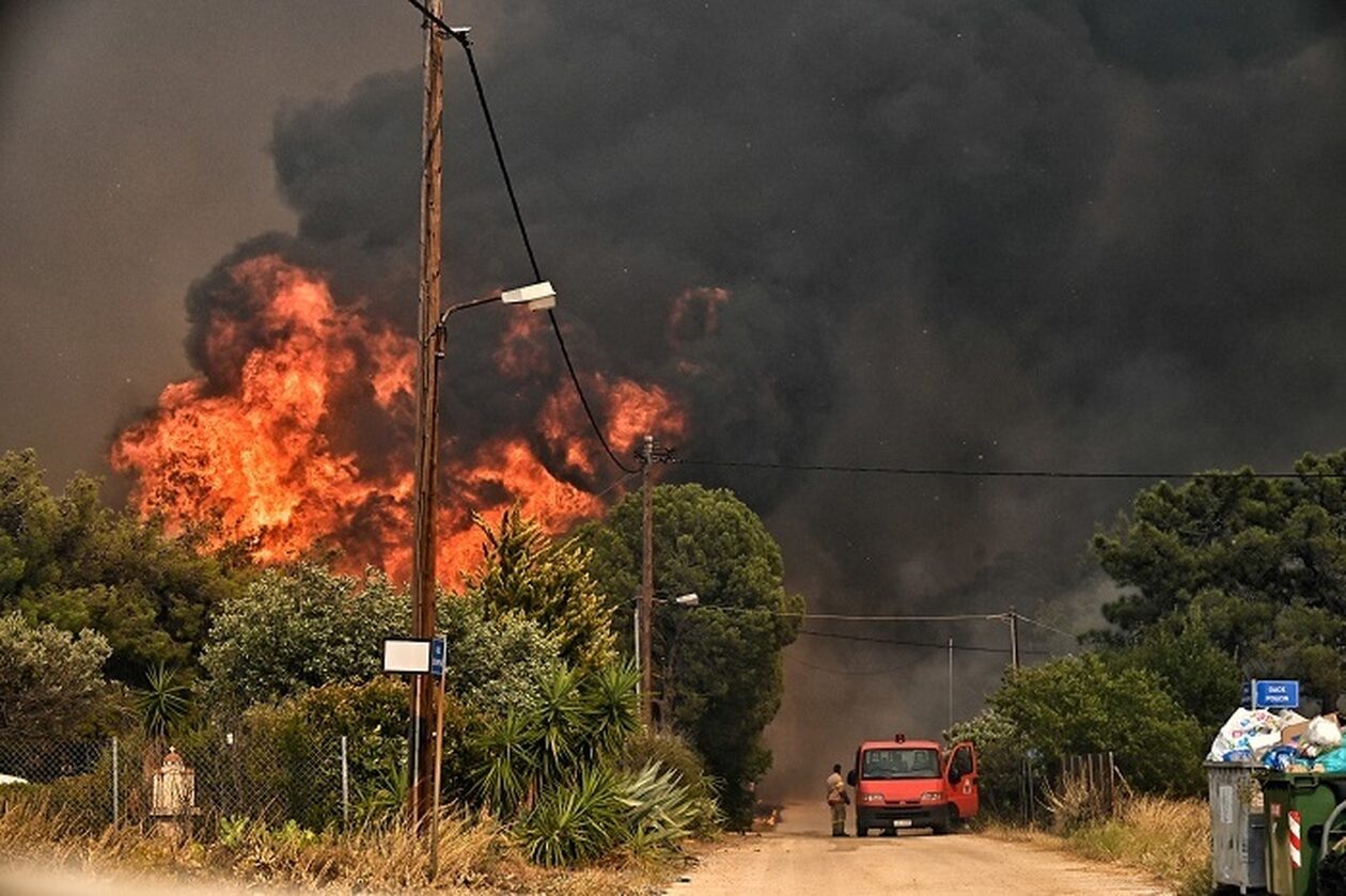Φωτιά - Πρόεδρος Νέας Ζωής: «Έχουν καεί ήδη δύο σπίτια  - Δεν έχουμε ούτε ένα εναέριο μέσο» (vid)