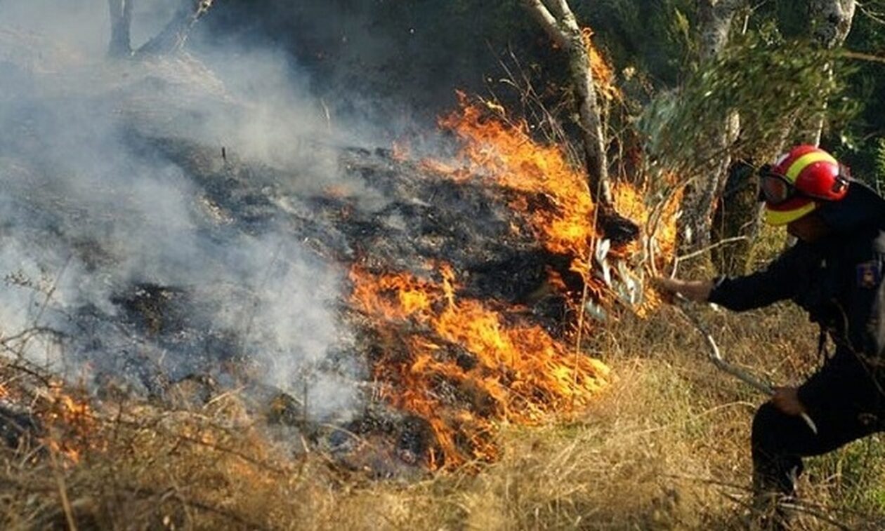 Βόλος: Φωτιά καίει ξερά χόρτα κοντά στον αρχαιολογικό χώρο του Σέσκλου