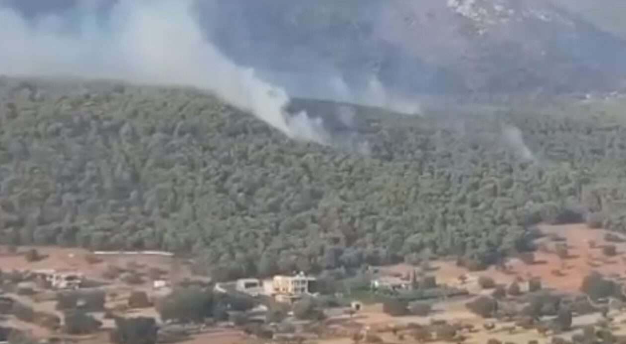 Βίντεο από το drone της Πυροσβεστικής: Κρανίου τόπος η Νέα Ζωή Μάνδρας - Πώς πέρασε η φωτιά