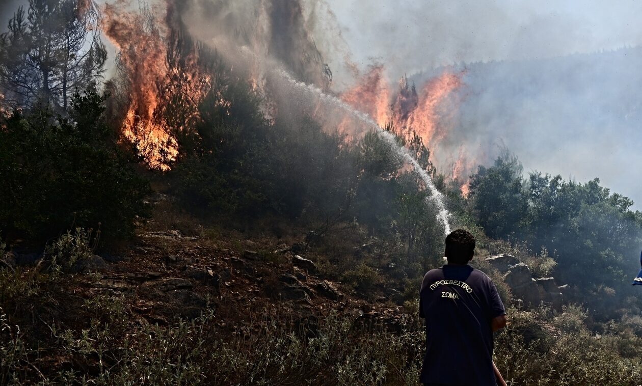 Πέλλα: Φωτιά τώρα στο Αχλαδοχώρι - Καίει σε χορτολιβαδική έκταση