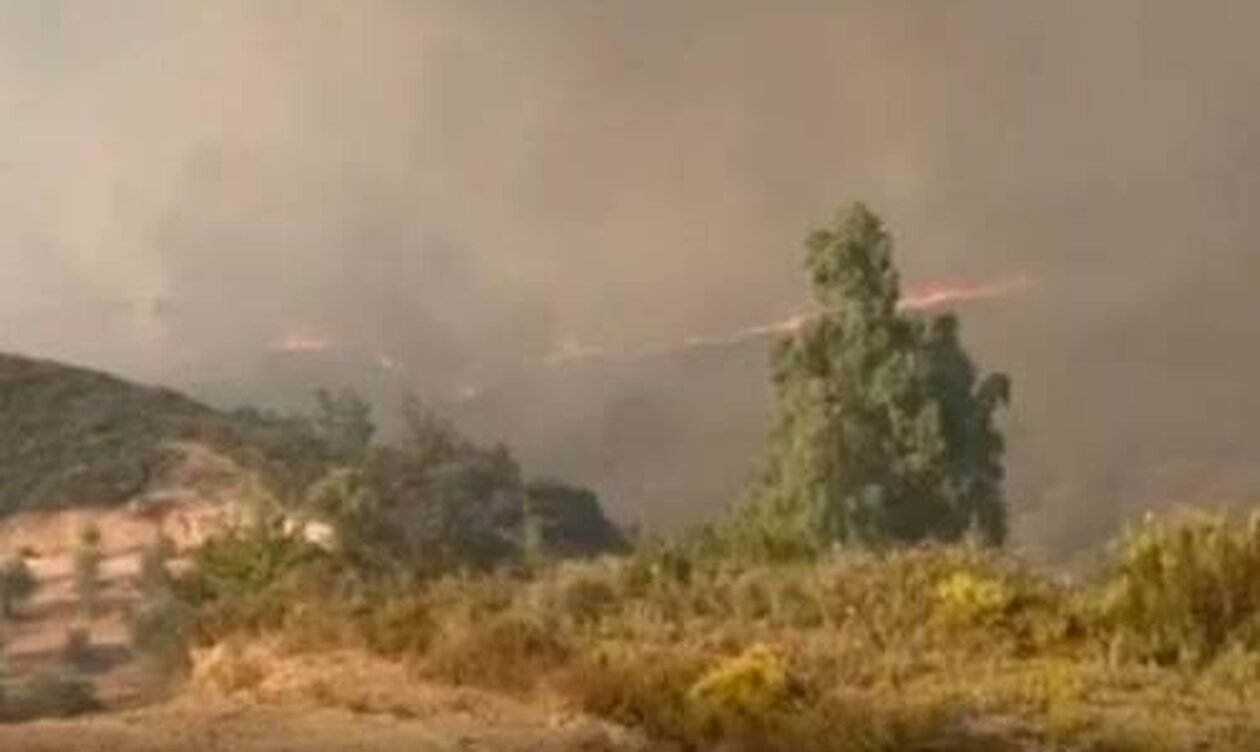Φωτιά στη Σπάρτη: Δραματικές διαστάσεις παίρνει η ανεξέλεγκτη πυρκαγιά στο Πυργί