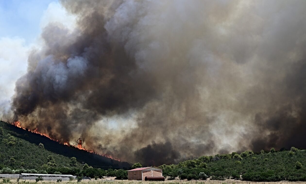 Δερβενοχώρια: Αναζωπύρωση της φωτιάς κοντά σε χωριό - Σπεύδουν εναέρια μέσα