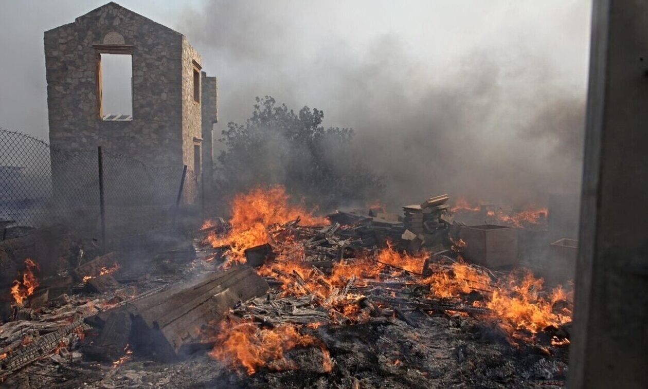 Εισαγγελική έρευνα για τα ζωάκια που κάηκαν σε καταφύγιο στο Λαγονήσι