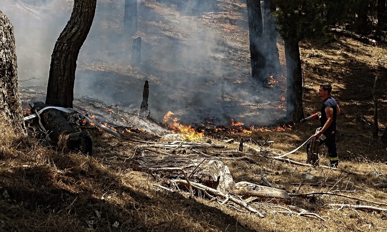 Φωτιά στη Ρόδο: «Μάχη» με τις φλόγες για πέμπτη μέρα – Απομακρύνθηκαν 300 άτομα από τα Λάερμα