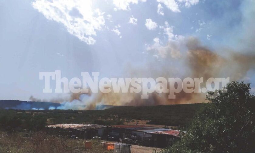 Μαγνησία: Φωτιά σε πεδίο βολής - Ακούγονται εκρήξεις