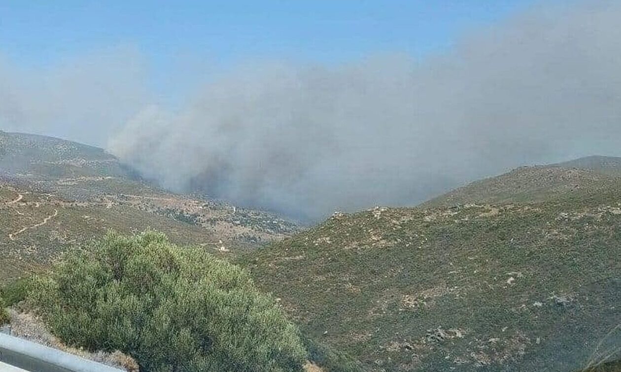 Φωτιά στην Κάρυστο: Οι φλόγες πλησιάζουν τα χωριά - Πνέουν ισχυροί άνεμοι