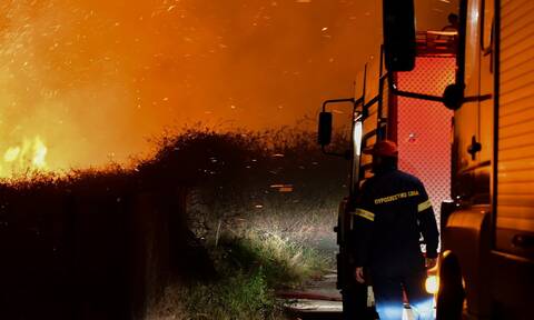 Φωτιά στην Κάρυστο: Νέο μήνυμα από το 112 για εκκενώσεις περιοχών