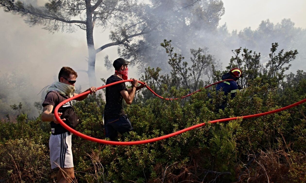 Φωτιά στη Ρόδο: Η «τιτάνια» μάχη κατοίκων και πυροσβεστών με τις φλόγες στον Μαλώνα – Βίντεο