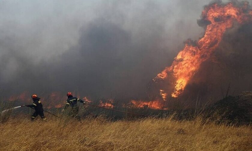 Φωτιά στην Κάρυστο: Καίγονται σπίτια στο χωριό Πλατανιστός