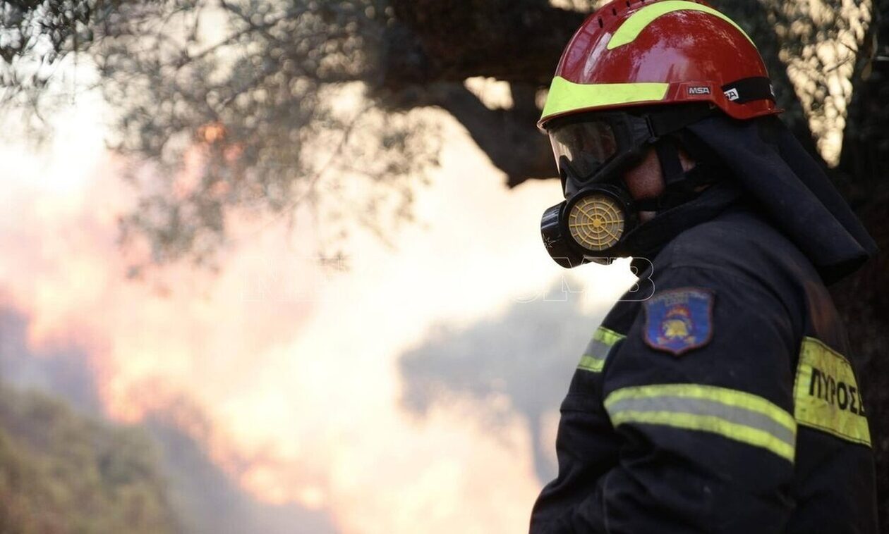 Θεσσαλονίκη: Φωτιά σε αγροτοδασική έκταση στον Λαγκαδά – Τέθηκε υπό έλεγχο