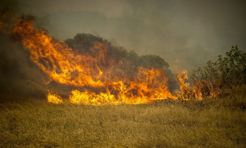 Φωτιά στη Ρόδο: Δραματικές εικόνες από την καταστροφή – «Κρανίου τόπος» το Κιοτάρι