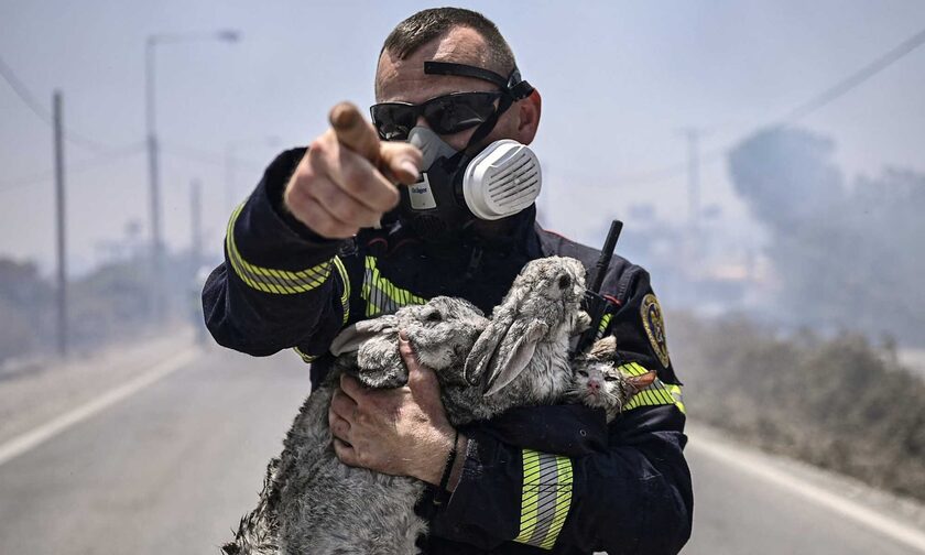 Πυροσβέστης σφίγγει στην αγκαλιά του μικρά ζωάκια που έχει μόλις διασώσει από τις φλόγες