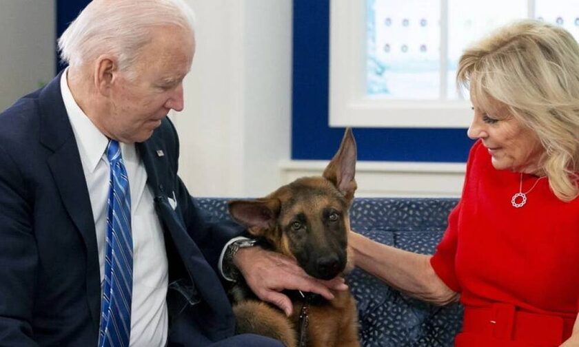 ΗΠΑ: Ο σκύλος του προέδρου Μπάιντεν... δαγκώνει