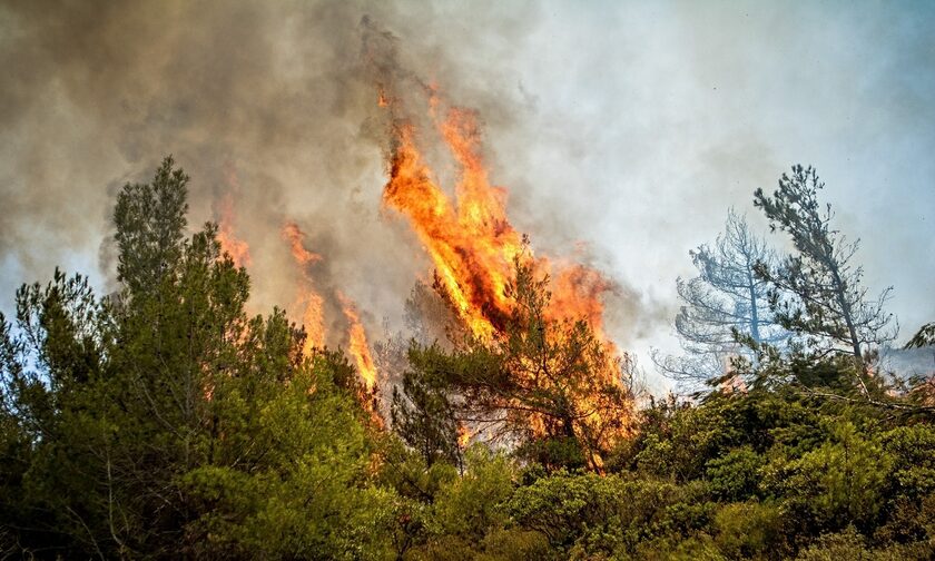 Αγοραστός στο Newsbomb.gr: «Η φωτιά στη Μαγνησία είναι ανεξέλεγκτη λόγω του λίβα»