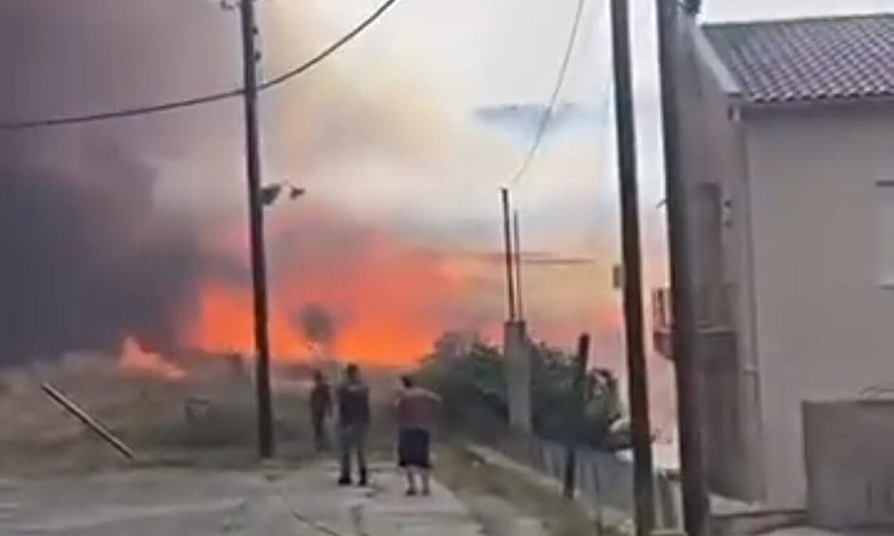 Φωτιά στη Μαγνησία – Δήμαρχος Βόλου: «Φύγετε από εδώ, έχει δεξαμενές προπανίου»
