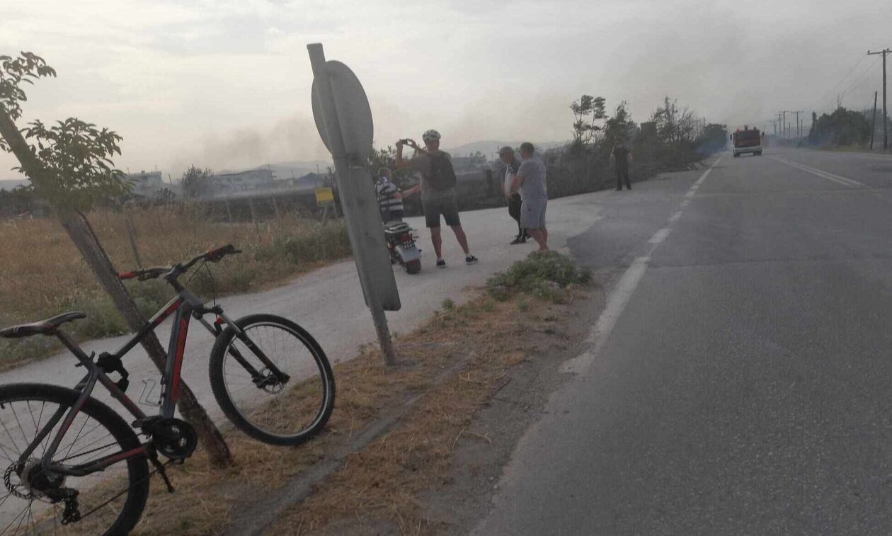 Νέα πυρκαγιά και στη Λάρισα: Πύρινο μέτωπο στον δρόμο Γιάννουλης-Αμπελώνα