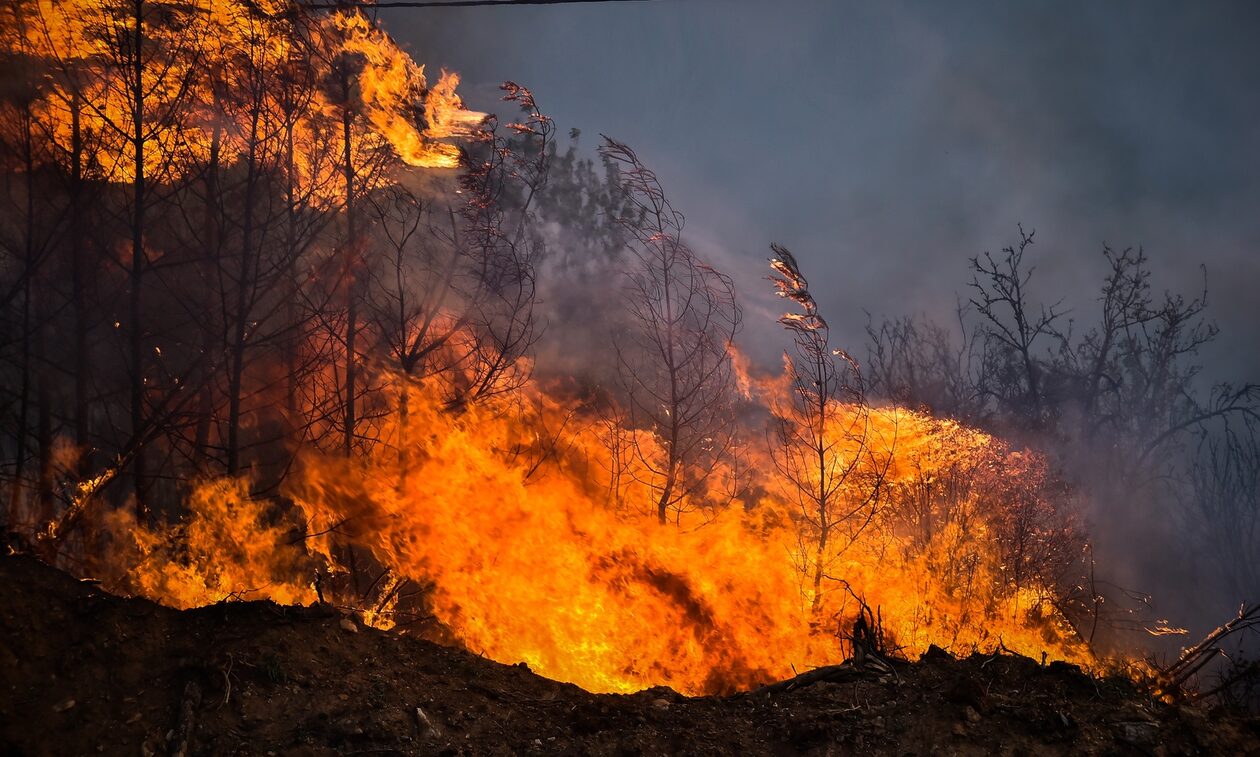 Πάνω από 500 φωτιές σε μισό μήνα - Στο «κόκκινο» και σήμερα πολλές περιοχές