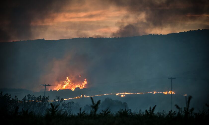 Φωτιά - Βόλος: Σε δύο μέτωπα η πυρκαγιά στη Μαγνησία