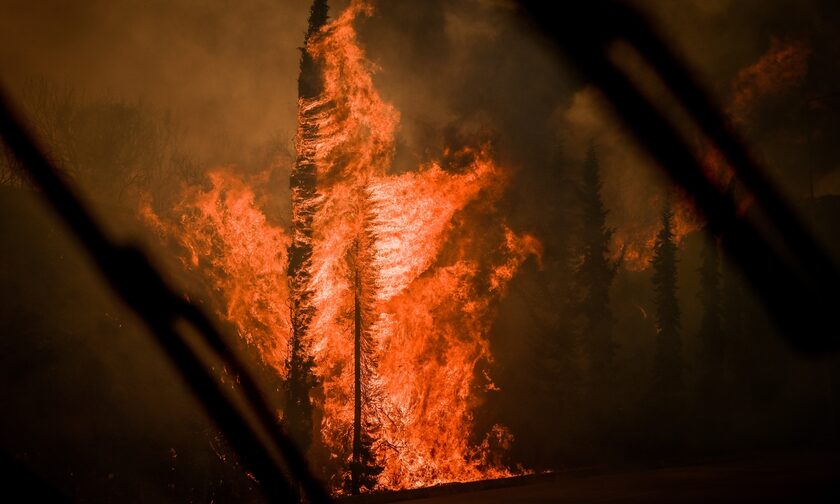 Λαμία: Μεγάλη αναζωπύρωση της πυρκαγιάς στα βόρεια της πόλης - Ήχησε το 112 για εκκένωση περιοχής