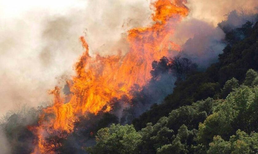 Πυρκαγιά στην Παντάνασσα Φιλιππιάδας
