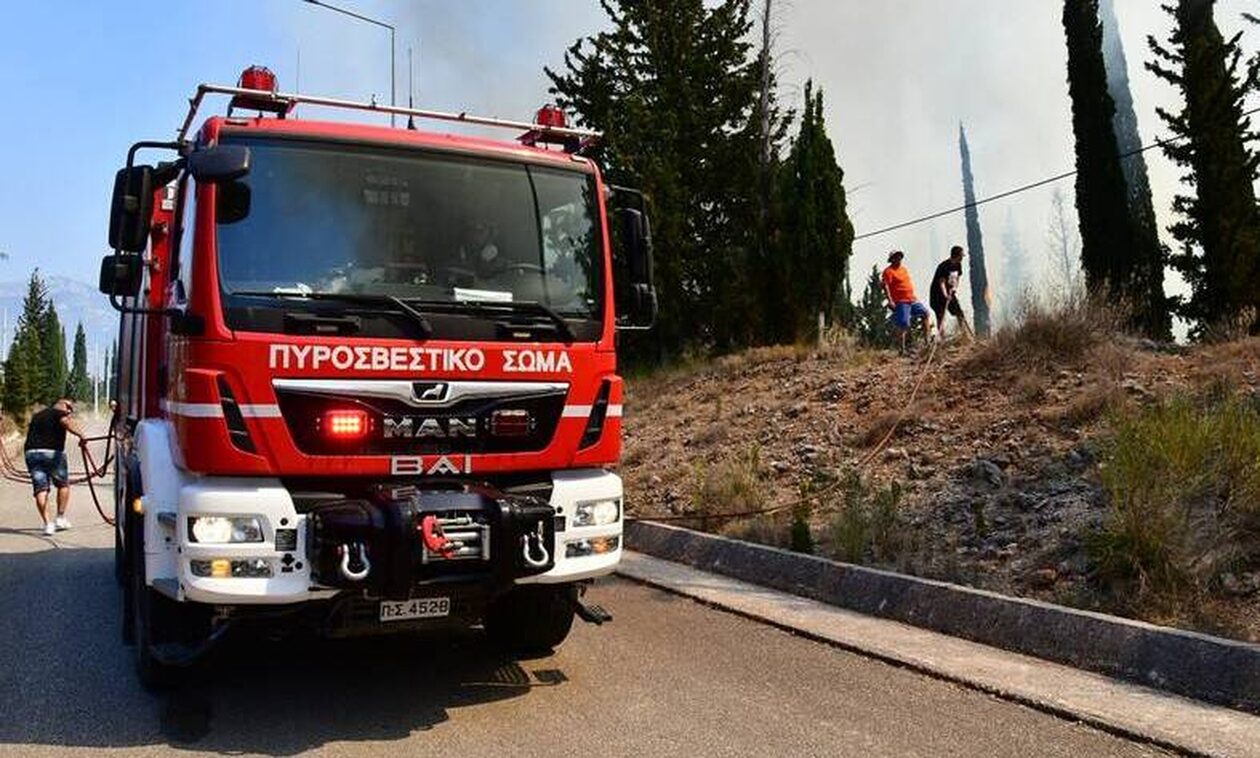 Φωτιά στην Χαλκιδική: Υπό μερικό έλεγχο η πυρκαγιά
