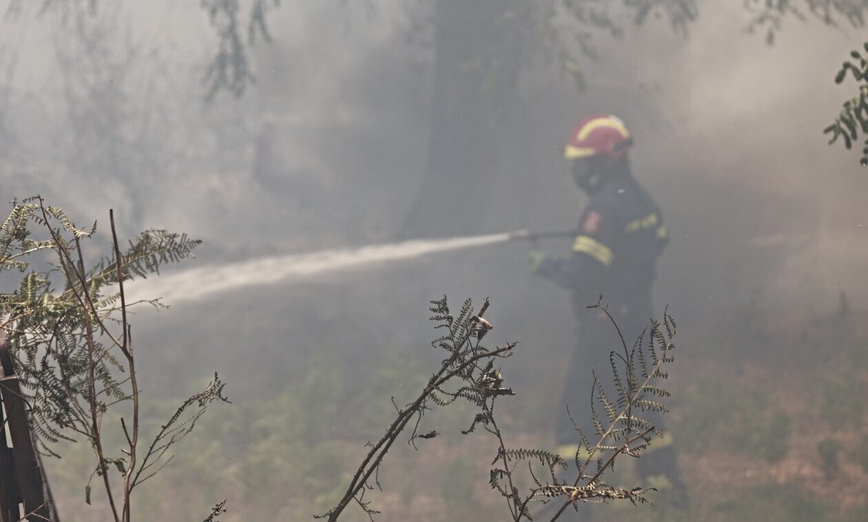 Εκδηλώθηκαν 51 δασικές πυρκαγιές τις τελευταίες 24 ώρες - Η κατάσταση στα μέτωπα
