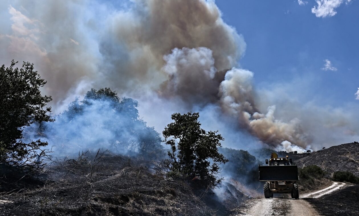 Φωτιά στη Μαγνησία: Άρχισε η διαδικασία καταγραφής και αποκατάστασης ζημιών στις πληγείσες περιοχές