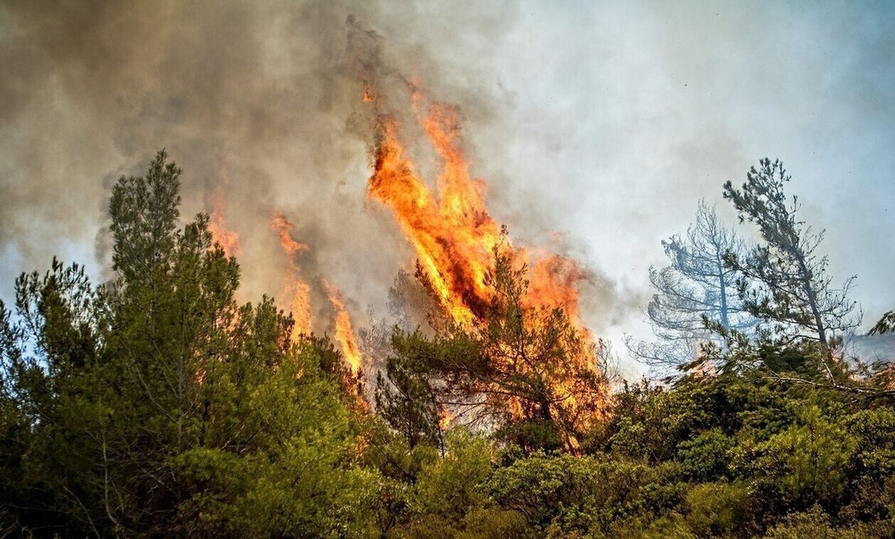 Φωτιά στο Τρίλοφο Καστοριάς - Τι λέει ο δήμαρχος Νεστορίου
