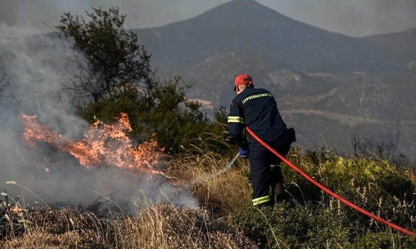 Φωτιές: 41 δασικές πυρκαγιές εκδηλώθηκαν το τελευταίο 24ωρο - Η κατάσταση στα μέτωπα