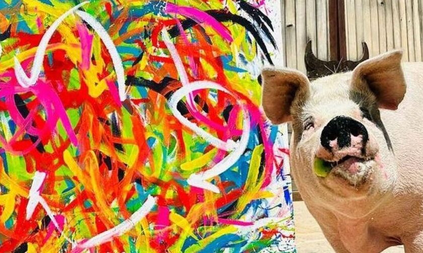 Νότια Αφρική: Γουρούνι με καλλιτεχνικές ανησυχίες ζωγράφισε πίνακα αξίας 26.000 ευρώ