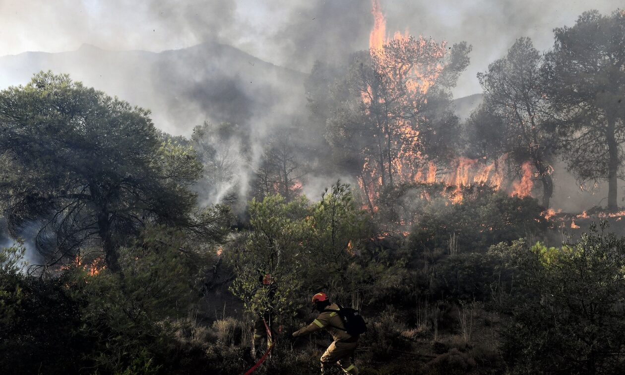 Φωτιές στην Ελλάδα: Κάηκαν συνολικά 470.000 στρέμματα από τις 7 μεγάλες δασικές πυρκαγιές