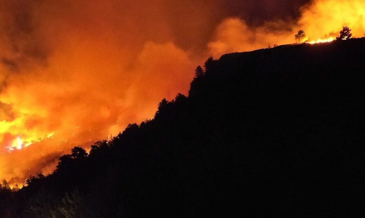 Φωτιά σε σταύλο στην Ανάγρα Μαγνησίας: Κίνδυνος να φτάσει το χωριό -  Διασώθηκαν 100 αγελάδες