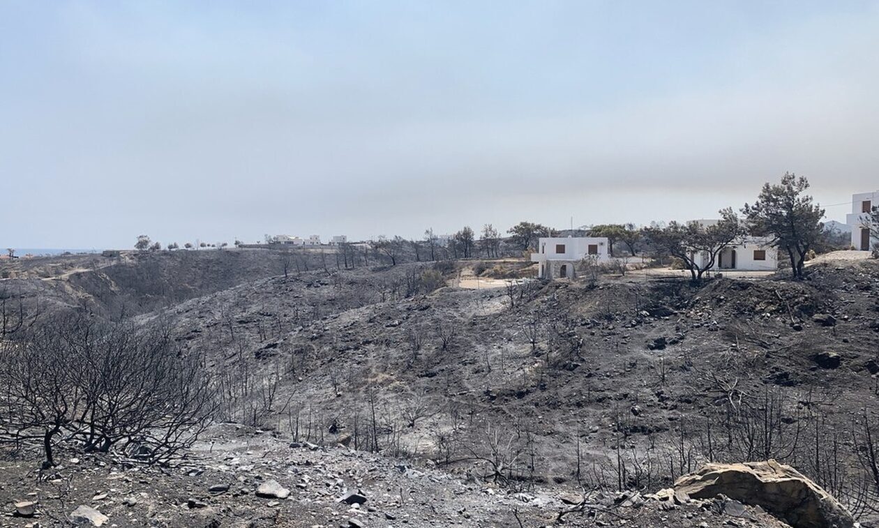 ΕΛΓΑ: Αποζημιώσεις για πληγέντες από πυρκαγιές – Τα ποσά