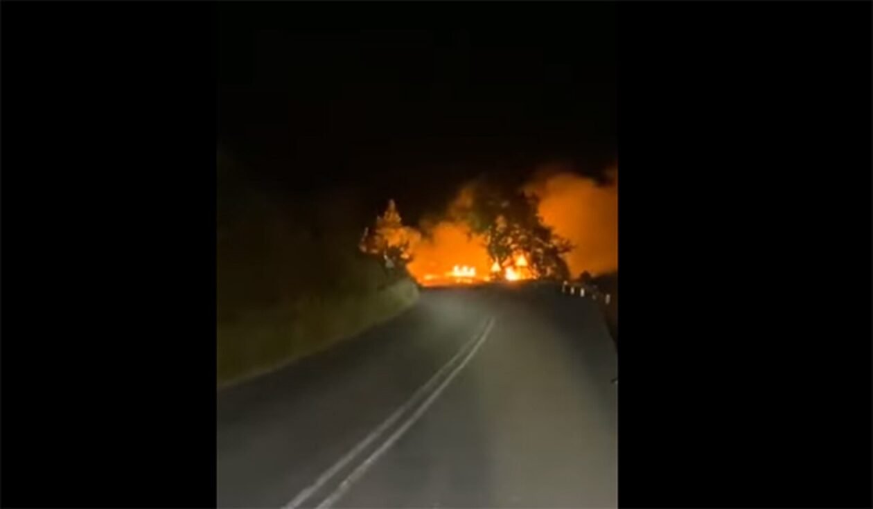 Αυτοκίνητο «λαμπάδιασε» σε δρόμο κοντά στην Κοζάνη – Εκρήξεις και φωτιά σε χόρτα και δέντρα (vid)