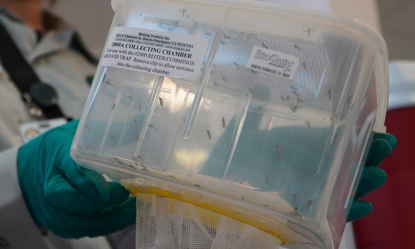 Τυχαία ανακάλυψη μπορεί να σταματήσει τη μετάδοση της ελονοσίας από τα κουνούπια