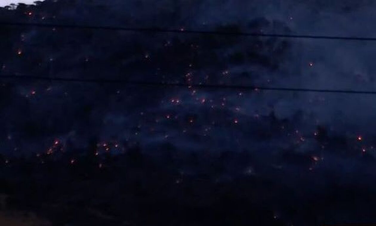 Φωτιά στον Ασπρόπυργο: Ολονύχτια μάχη με τις φλόγες