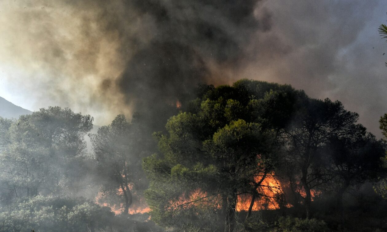 Φωτιά: Υψηλός κίνδυνος πυρκαγιάς τη Δευτέρα 7 Αυγούστου - Αναλυτικός χάρτης